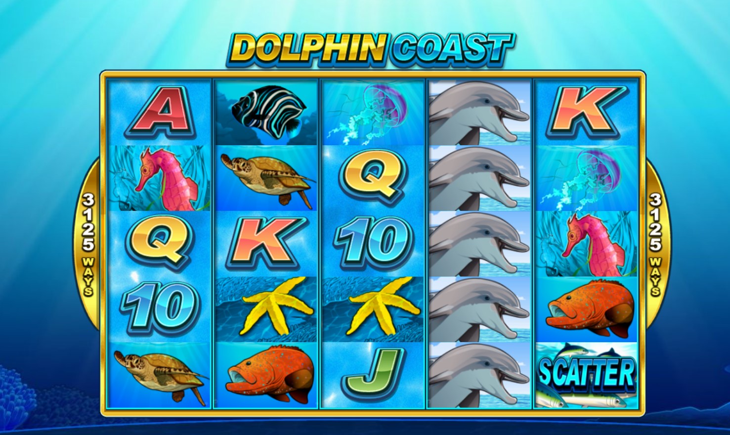 Dolphin Coast Slot