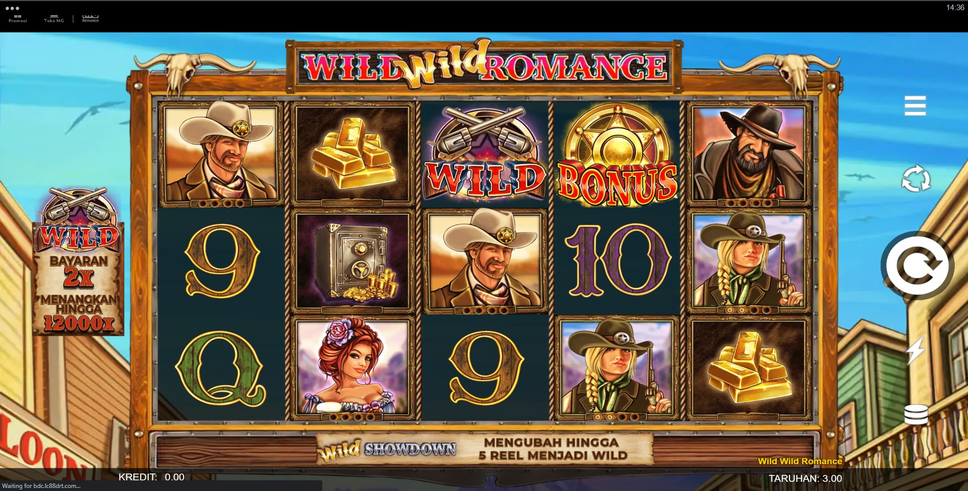 Wild Wild Romance Slot